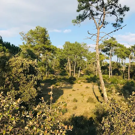 Apartamento Le Grand Voilier, Refait à Neuf Vue Océan Saint-Hilaire-de-Riez